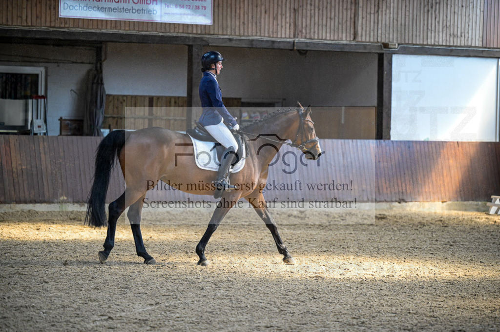 Reitturnier Voxtrup | Entdecke hochwertige Reitturnierfotos von Foto Oger. Professionell, emotional und authentisch – jetzt Lieblingsmomente im Shop bestellen.Deutschlandweite Turnierfotografie. - Realisiert mit Pictrs.com