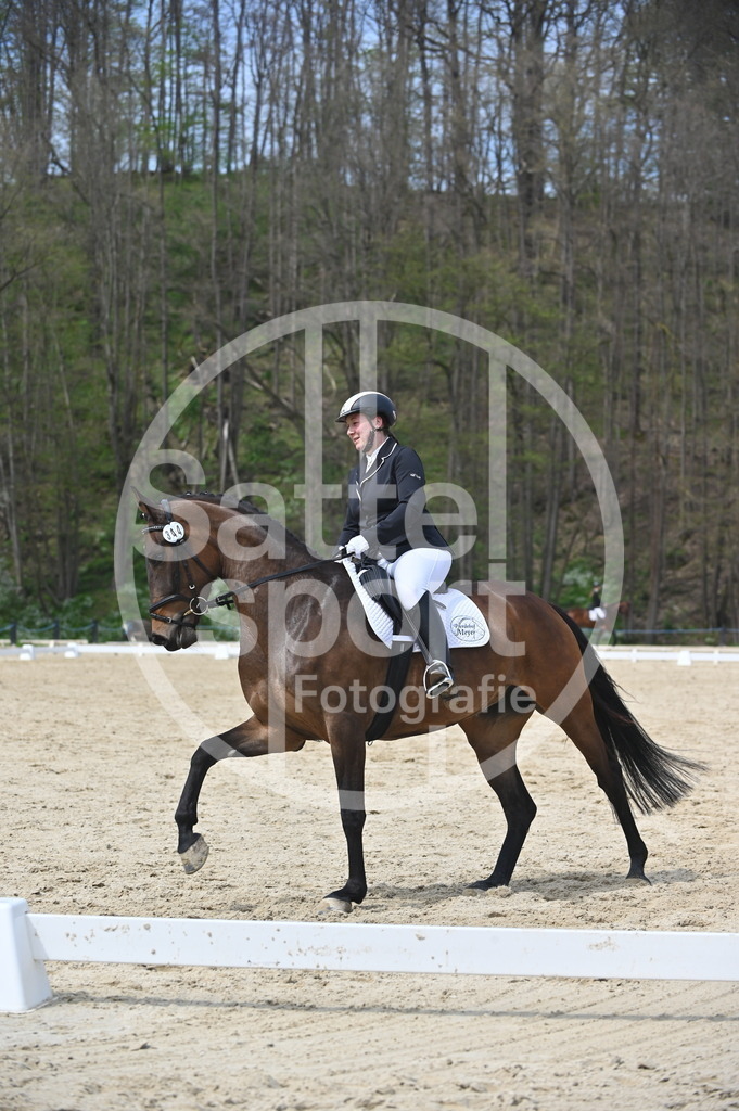 DSC_3306 | sattelsport - Realisiert mit Pictrs.com