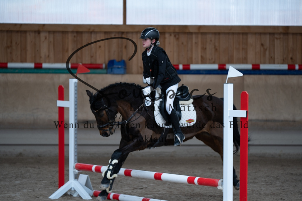 A7V00131 | Pferdefotograf