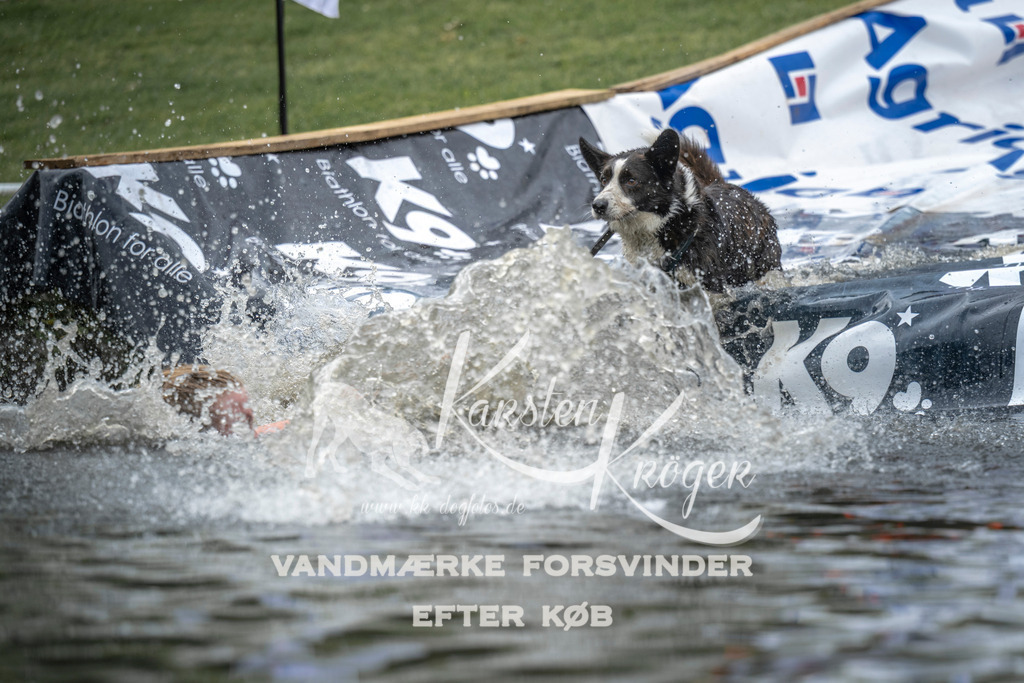 1540_ZZ96171 | kk-dogfotos