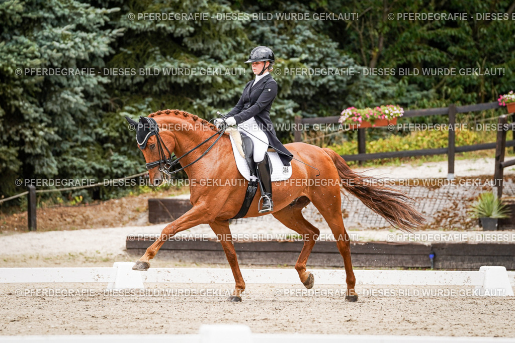 DSC05156 | Pferdegrafie