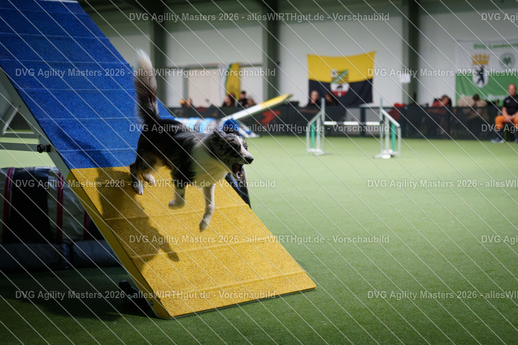 allesWIRTHgut_Tierfotografie-DVG_Agility_Masters_2026-16_41-7R508420 | Professionelle Tierfotografie in Mönchengladbach von Daniel Wirth (allesWIRTHgut). Liebevolle & natürliche Bilder von Hunden & Katzen für unvergessliche Erinnerungen.