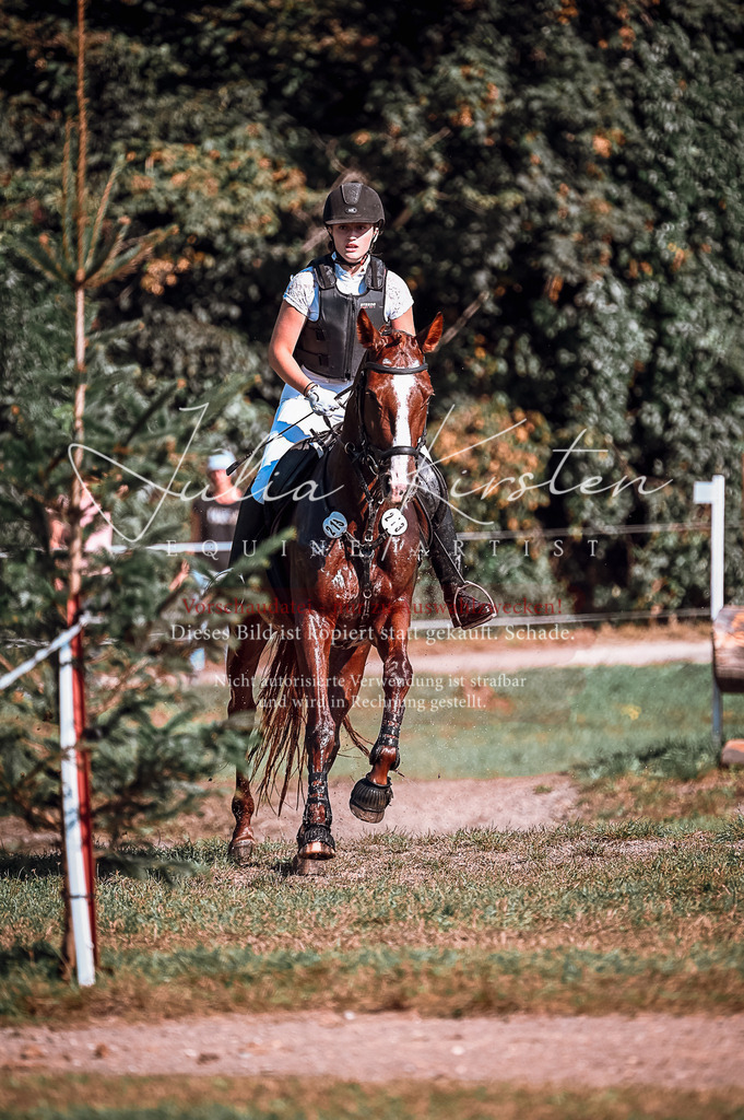 DSC_0770 | Pferde- und Turnierfotografie in Westsachsen. Pferdeportraits, Auftragszeichnungen und intuitive Kunst.