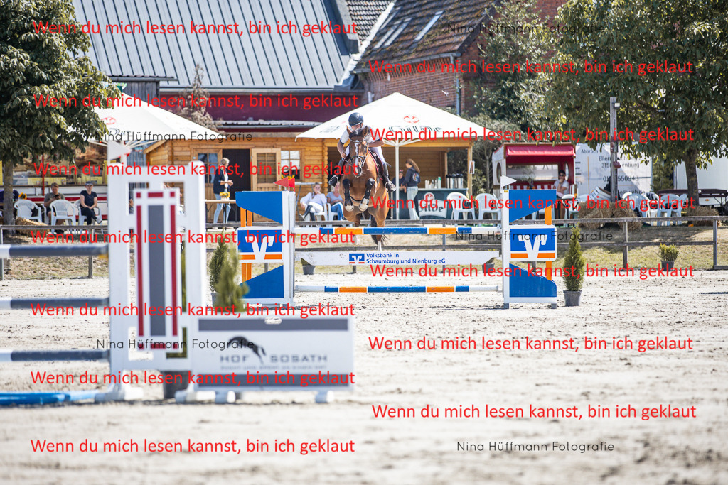 BK1A6365 | Turnierbilder Turnierfotos Nina Hüffmann Turnierfotografie Pferdefotografie Tierzeichnung Haustierzeichnung Pferdezeichnung Hundezeichnung Videograf  - Realisiert mit Pictrs.com