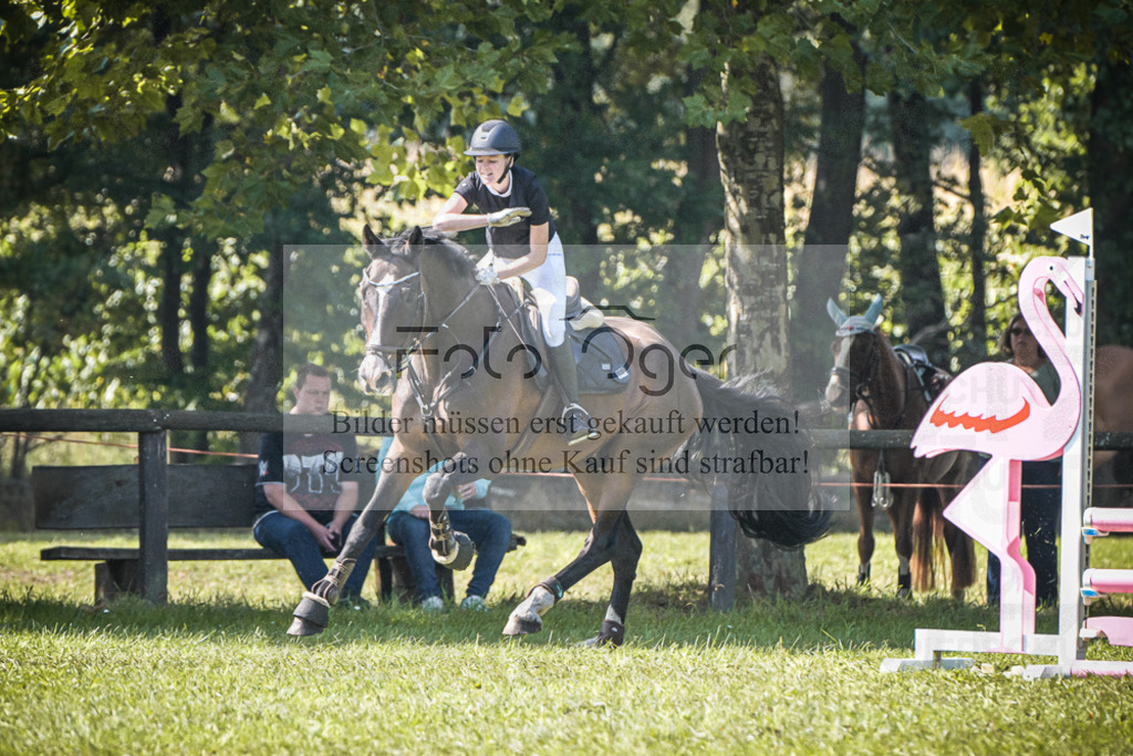 DOS_0968 | Entdecke hochwertige Reitturnierfotos von Foto Oger. Professionell, emotional und authentisch – jetzt Lieblingsmomente im Shop bestellen.Deutschlandweite Turnierfotografie. - Realisiert mit Pictrs.com