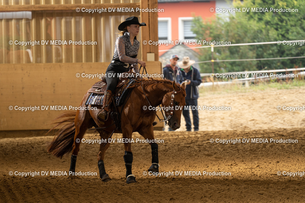 LAU00923 | dv-media-shop - Realisiert mit Pictrs.com