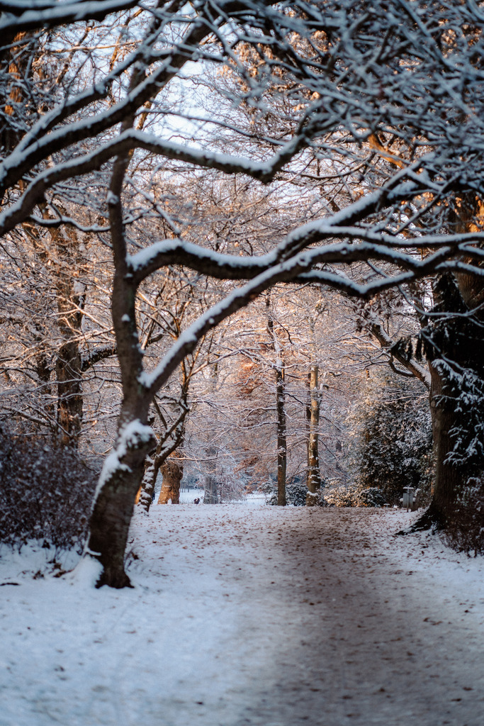 DSC08732 | Print Shop 
Fotografie
Posterdruck
Landschaftsfotografie
Reisefotografie
Naturfotografie
Anja Brandes Poster 
Anja Brandes Photography 
Prints for Walls 
Printable 
Posterdrucke
Poster aesthetic 
Poster Wall 
Poster Prints 
Poster schwarz weiß - Realisiert mit Pictrs.com
