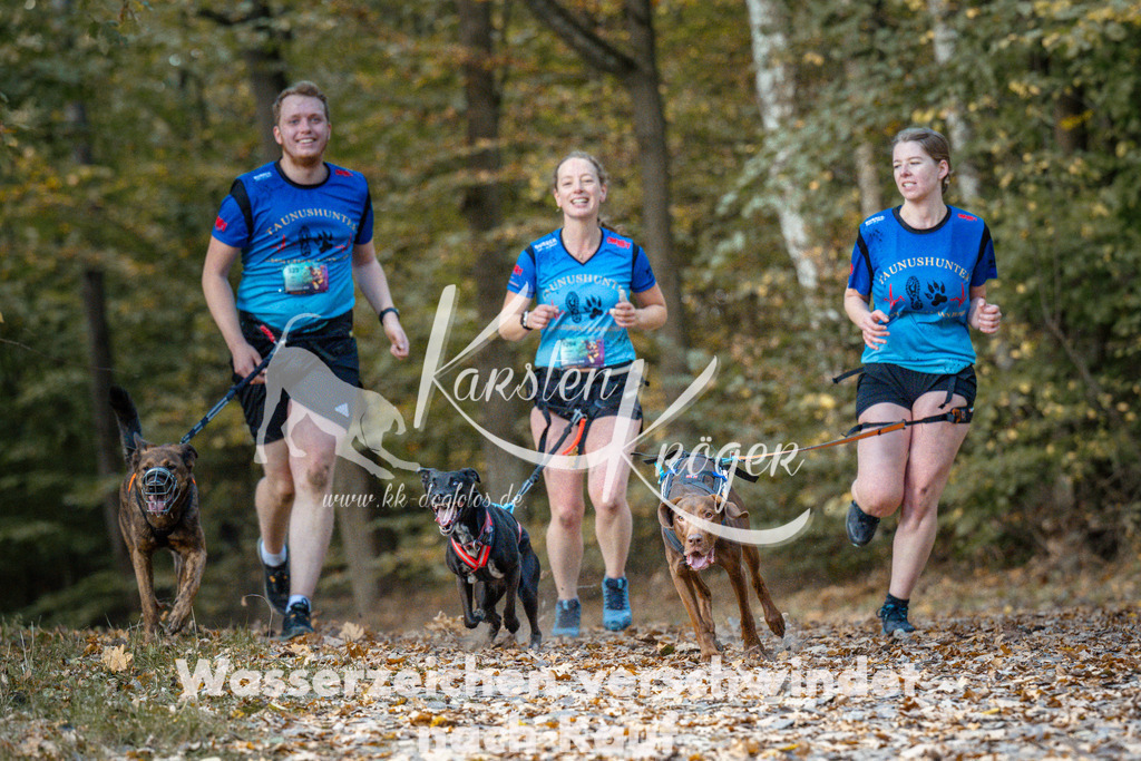 1312_ZZ97652 | kk-dogfotos