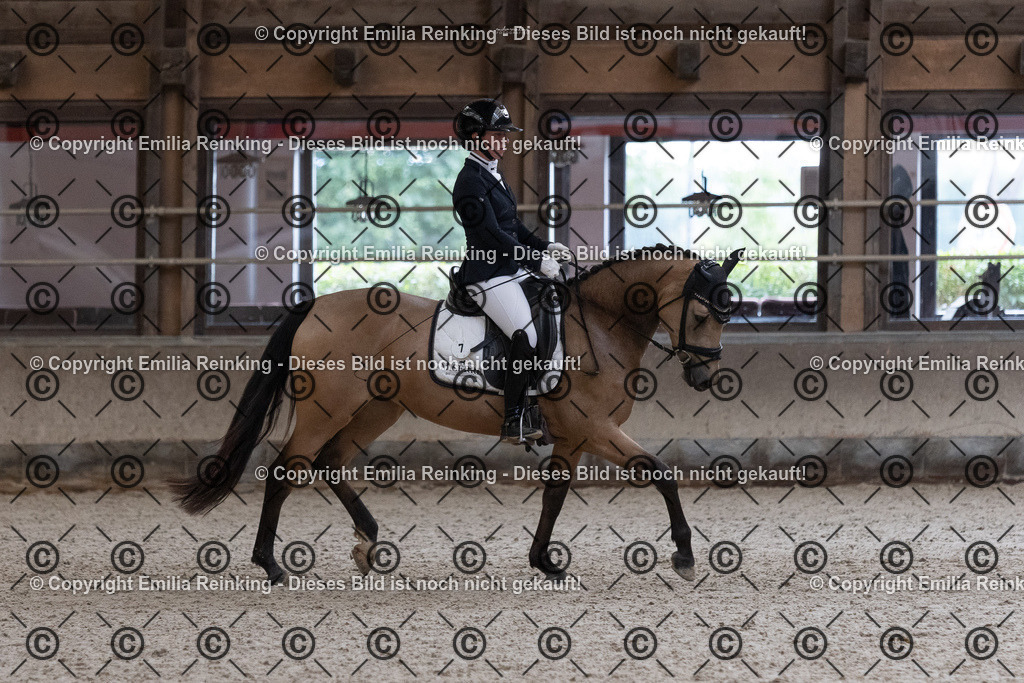CL5A1053 | Emilia Reinking Fotografie - Realisiert mit Pictrs.com