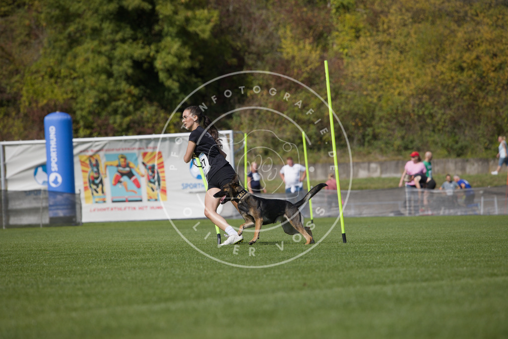 0L8A2879 | Hundefotografie, Tierfotograf, Pfotenfotografie, Fotoshooting Hund, Hunde Portrait, Hundesport, Hundeportraits, Heideshooting, Hunde, Sportfotograf, Hundefotograf, Turnierhundsport, THS,  - Realisiert mit Pictrs.com