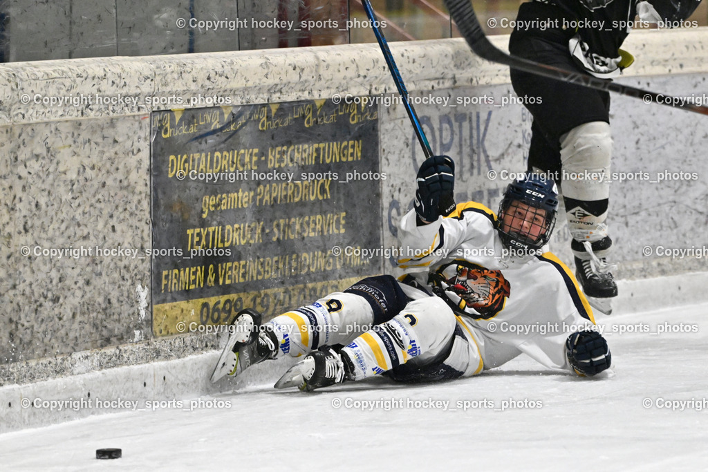 EC Tigers Paternion vs. Tarco Wölfe II | #9 Gratzer Julian EC Tigers Paternion, EC Tigers Paternion vs. Tarco Wölfe II, EC Tigers Paternion vs. Tarco Wölfe II am 19.12.2024 in Spittal an der Drau (Eissportzentrum Spittal), Austria, (Photo by Bernd Stefan)