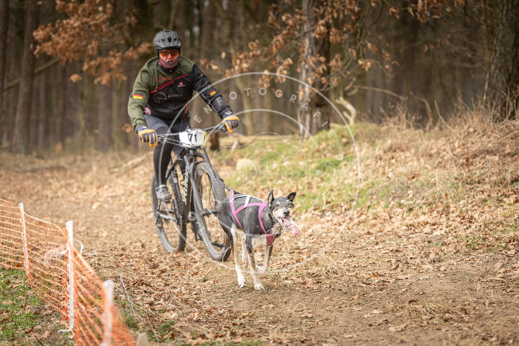 Pfotenfotografie_DV3A3482 | Hundefotografie, Tierfotograf, Pfotenfotografie, Fotoshooting Hund, Hunde Portrait, Hundesport, Hundeportraits, Heideshooting, Hunde, Sportfotograf, Hundefotograf, Turnierhundsport, THS,  - Realisiert mit Pictrs.com