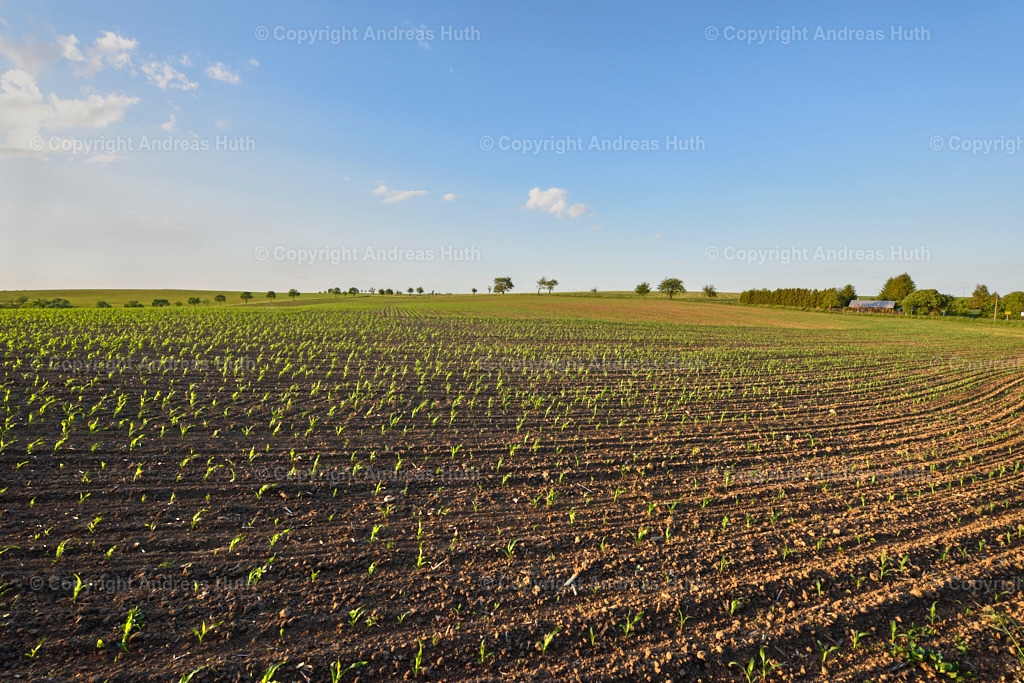 Die Lommatzscher Pflege NW von Lüttewitz 02 | Bedeutsame Landschaften Deutschlands - Realisiert mit Pictrs.com