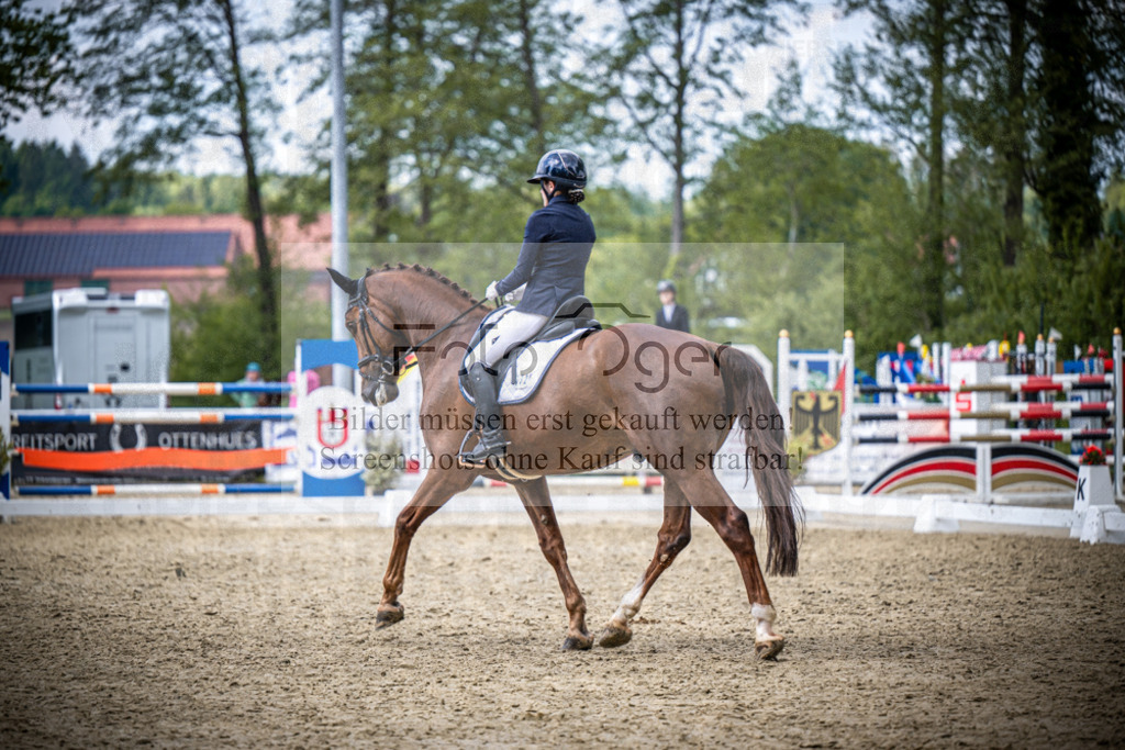 DOS_2527 | Reitturnier Venne - Realisiert mit Pictrs.com