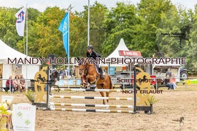 26-8-7 SPR A++-24 | mandyhollmannphotographie