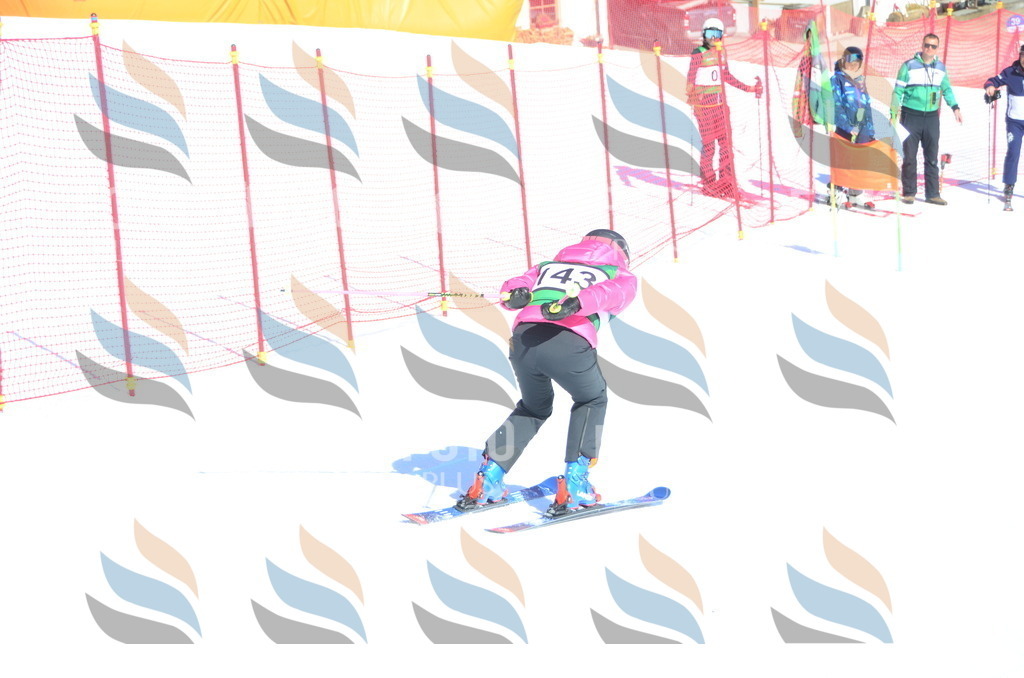 C6062 | holidayphoto