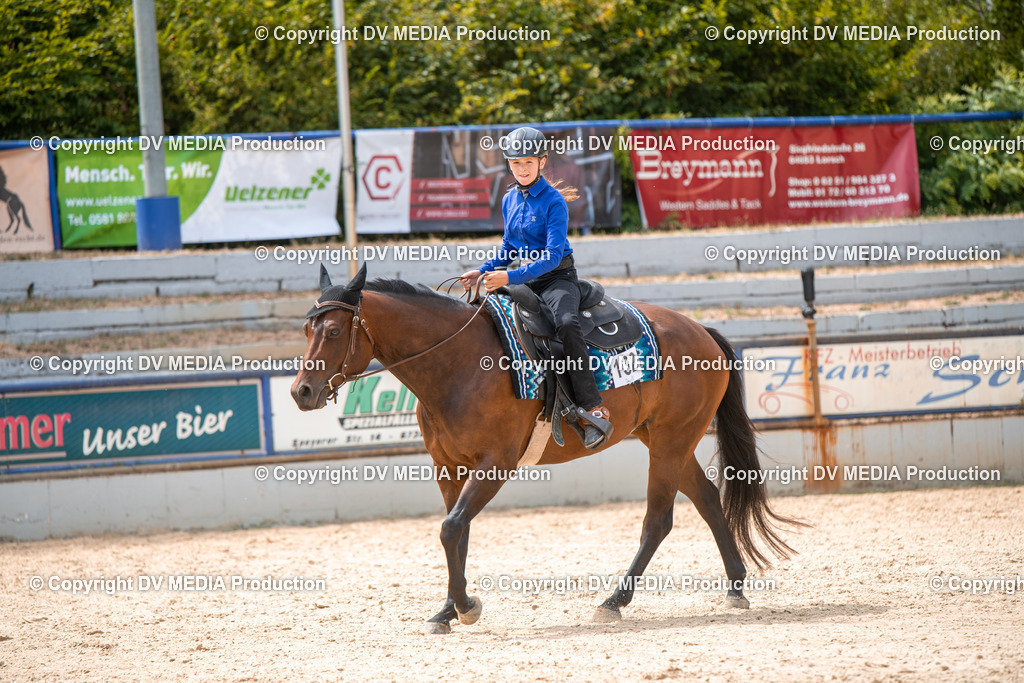 EWP_6587 | dv-media-shop - Realisiert mit Pictrs.com