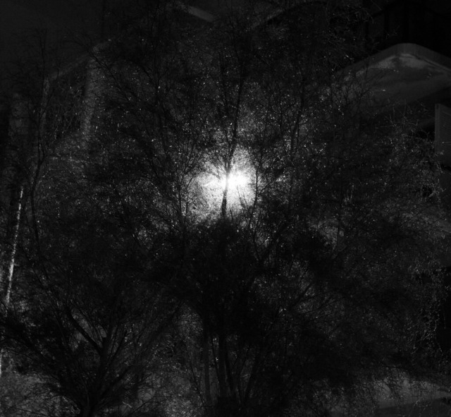 _DSF4736-Malta1 | blende43