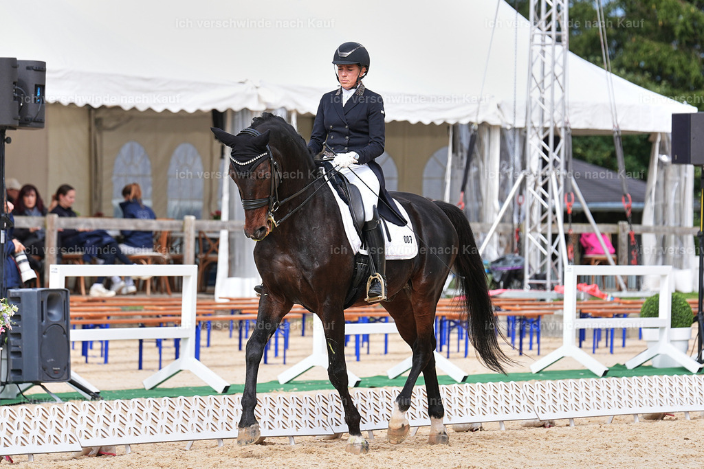 11-007-Dressur S___-Marixx-1695 | working equitationturnier fotograf videograf stoibphotography marixx film working equitation deutschland reitsport turnierfotografie eventfotografie equestrian events