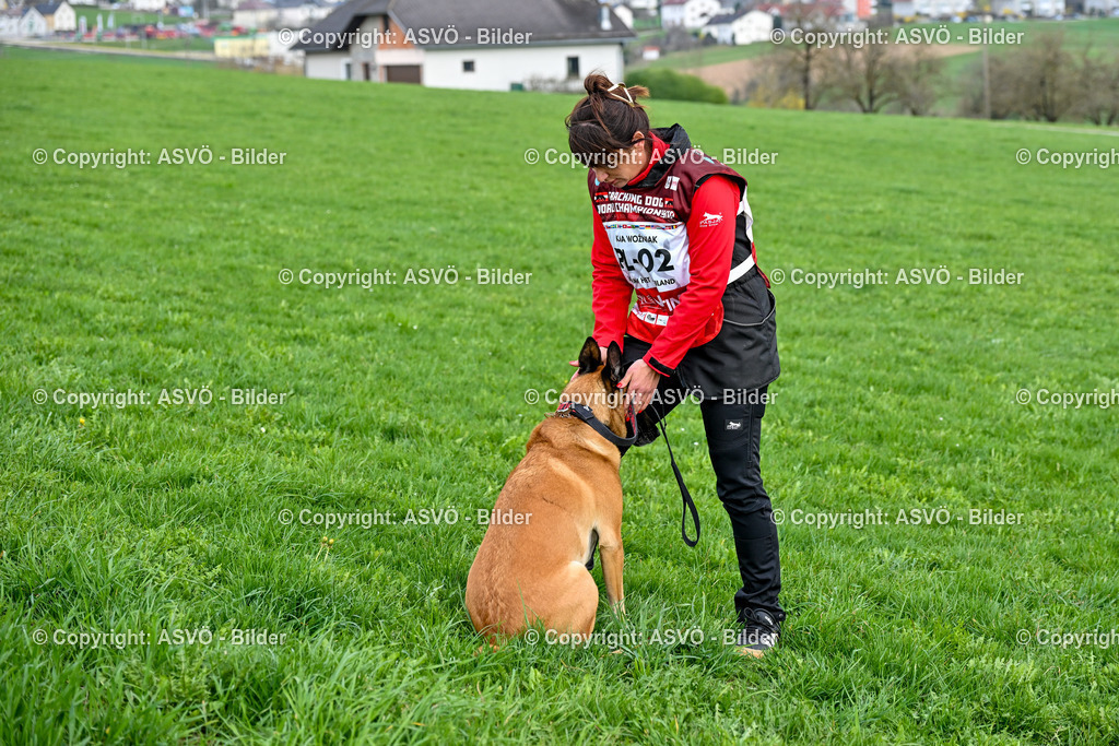 ASVÖ_ Tracking Dog World Championship 2025_ 05.04.2025-98 | bilder.asvo-sport - Realisiert mit Pictrs.com