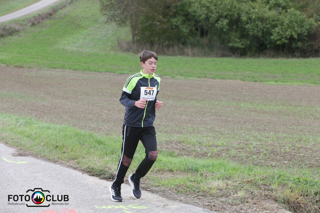 03_Winzerweg (126) | Foto Buchgraber