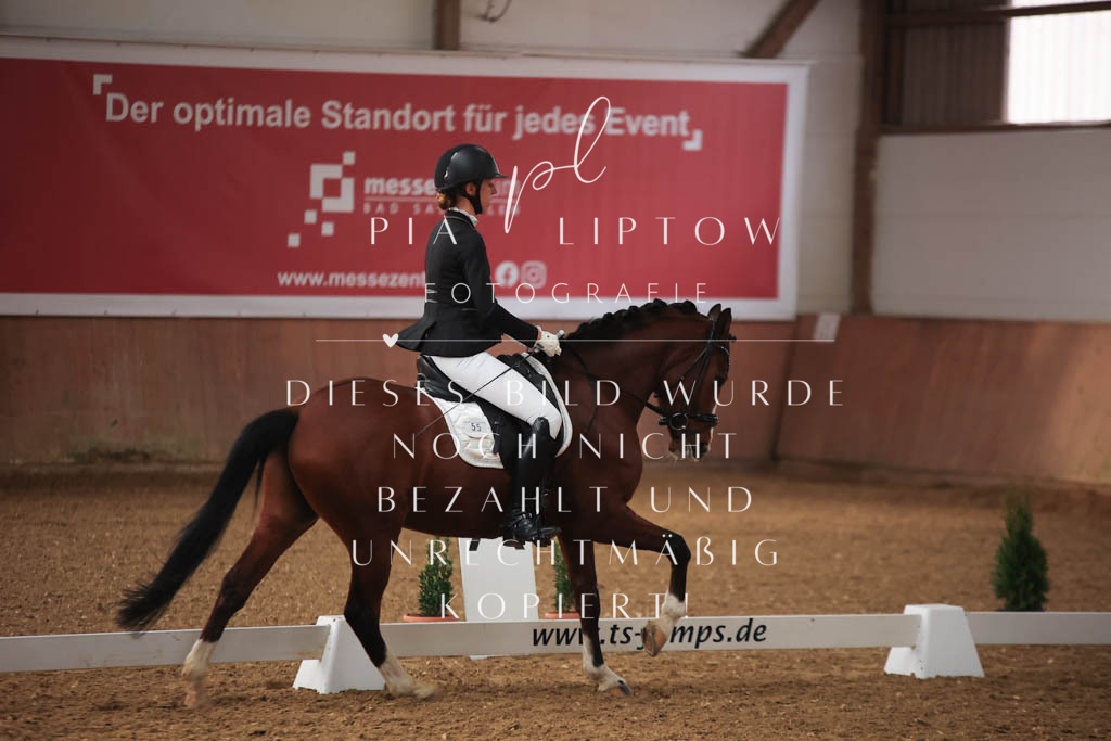 IMGT7133 | pl-fotografie