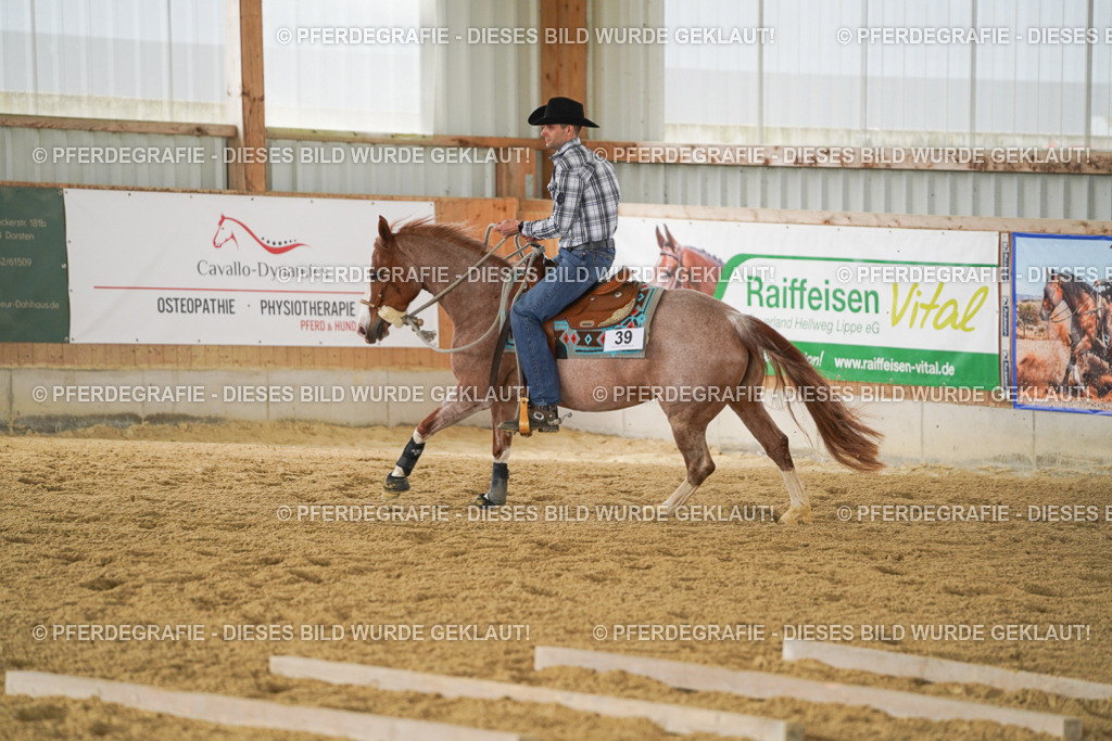 DSC03701 | Pferdegrafie