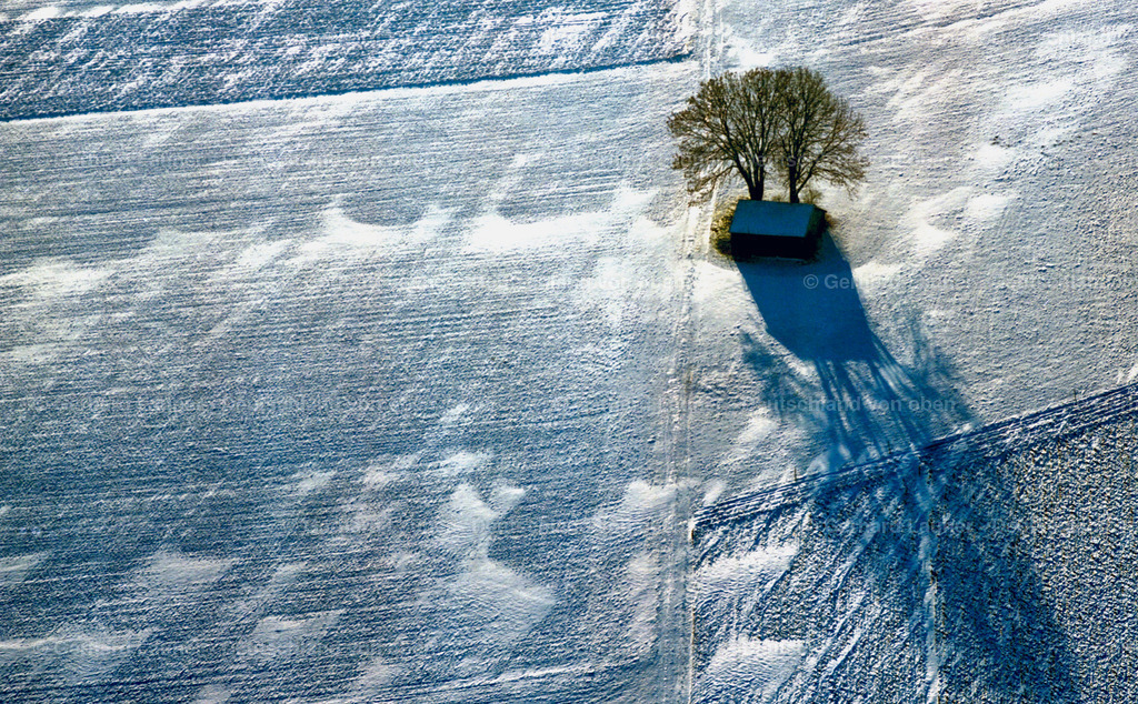 7000087 | Baum mit Hütte im Winter bei Coburg