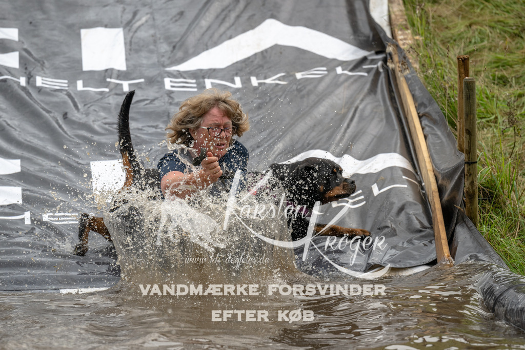 1548_ZZ90884 | kk-dogfotos