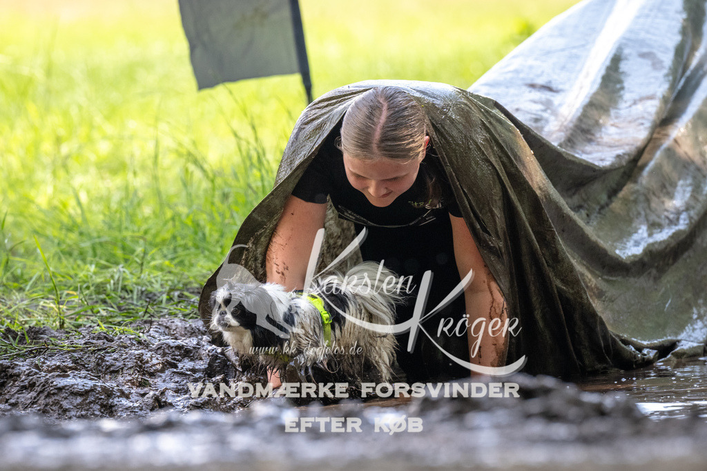 1205_ZZ91343 | kk-dogfotos