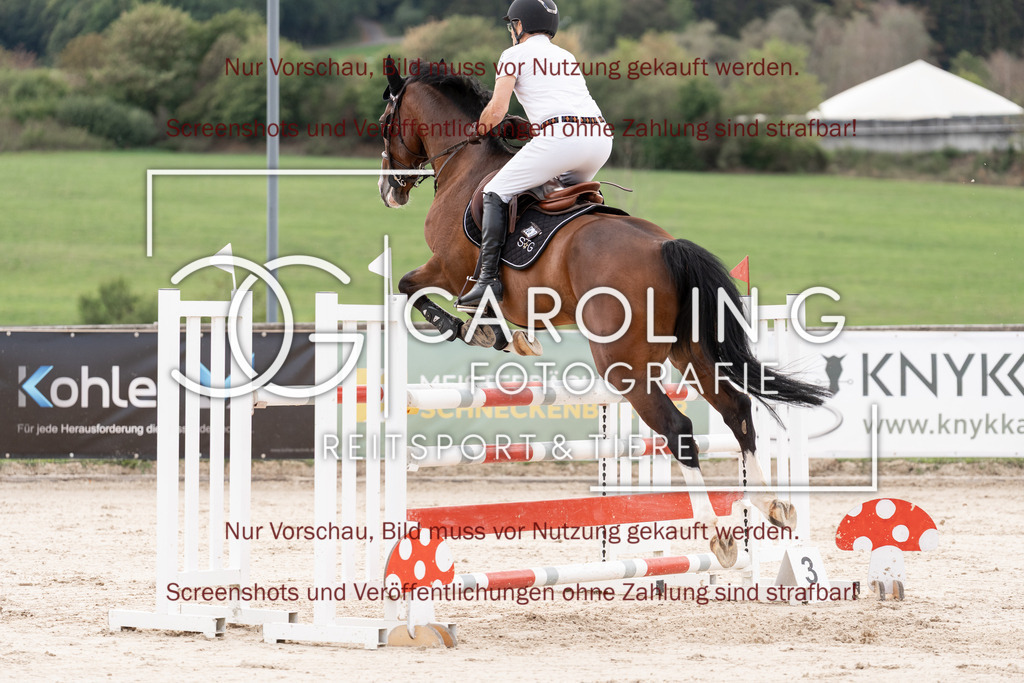 DSC06623 | Springturnier_Teamchallege_Talheim_2026, Gerhard_Riehle, Neugschwents_Cornado