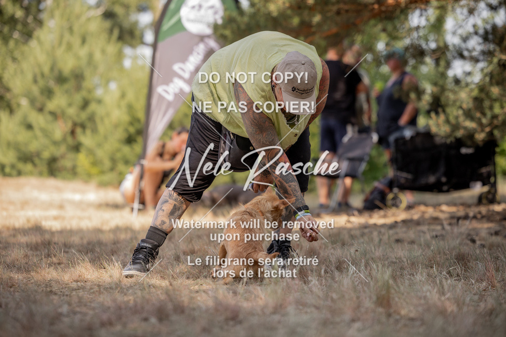 nelerasche_soDD2_37 | nelerasche