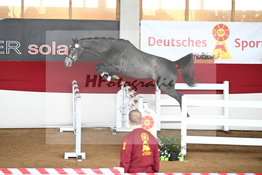 Kat-Nr. 50 Coralee v. Colman_Egetenmeier_9240593 | hf-fotografie - Realizzato con Pictrs.com