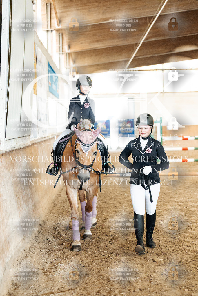 CK905780 | Turnierfotografie Pferdefotografie Trier Rheinland-Pfalz Pferdesport Reitsport Tierfotografie Sportfotografie Pferdevideo Pferdevideografie Equestrianvideography equestrianphotography  - Realisiert mit Pictrs.com