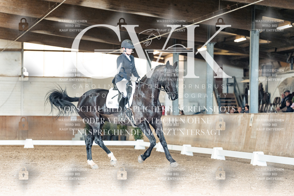 CK902217 | Turnierfotografie Pferdefotografie Trier Rheinland-Pfalz Pferdesport Reitsport Tierfotografie Sportfotografie Pferdevideo Pferdevideografie Equestrianvideography equestrianphotography  - Realisiert mit Pictrs.com