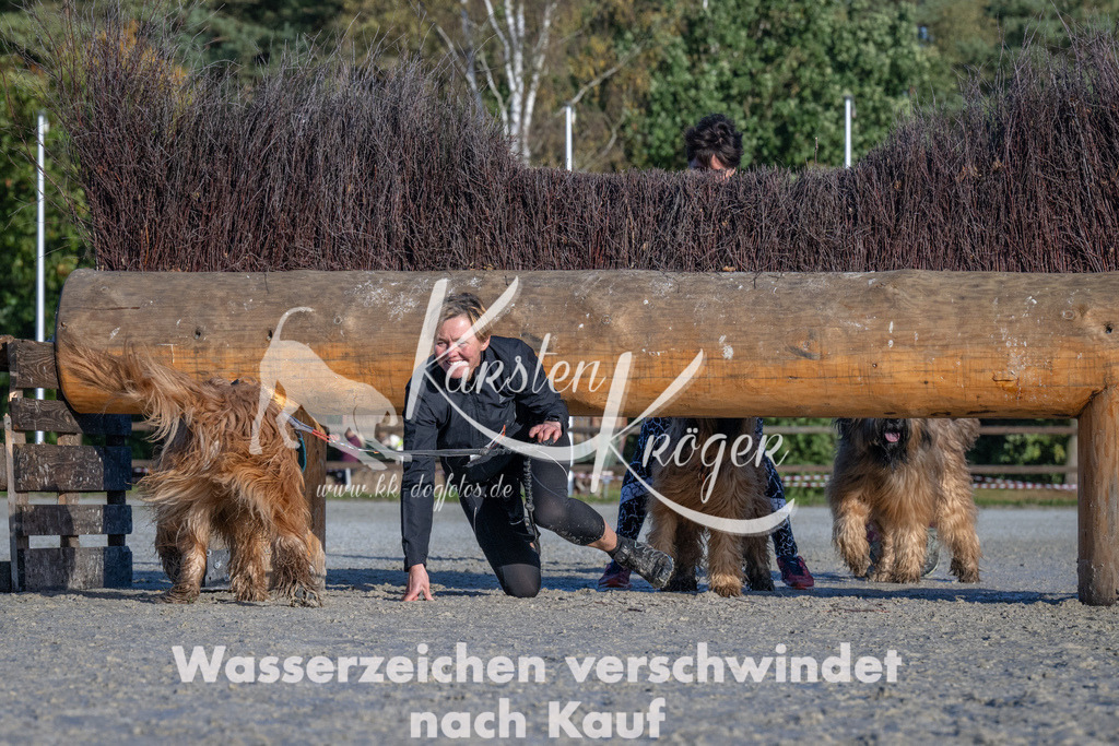 1027-_ZZ91281 | kk-dogfotos