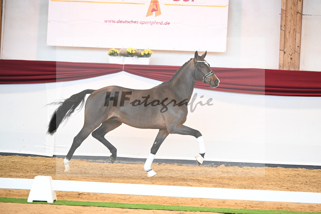 Kat-Nr. 61 v. Goldberg_Reglauer_66222020 | hf-fotografie - Realisiert mit Pictrs.com