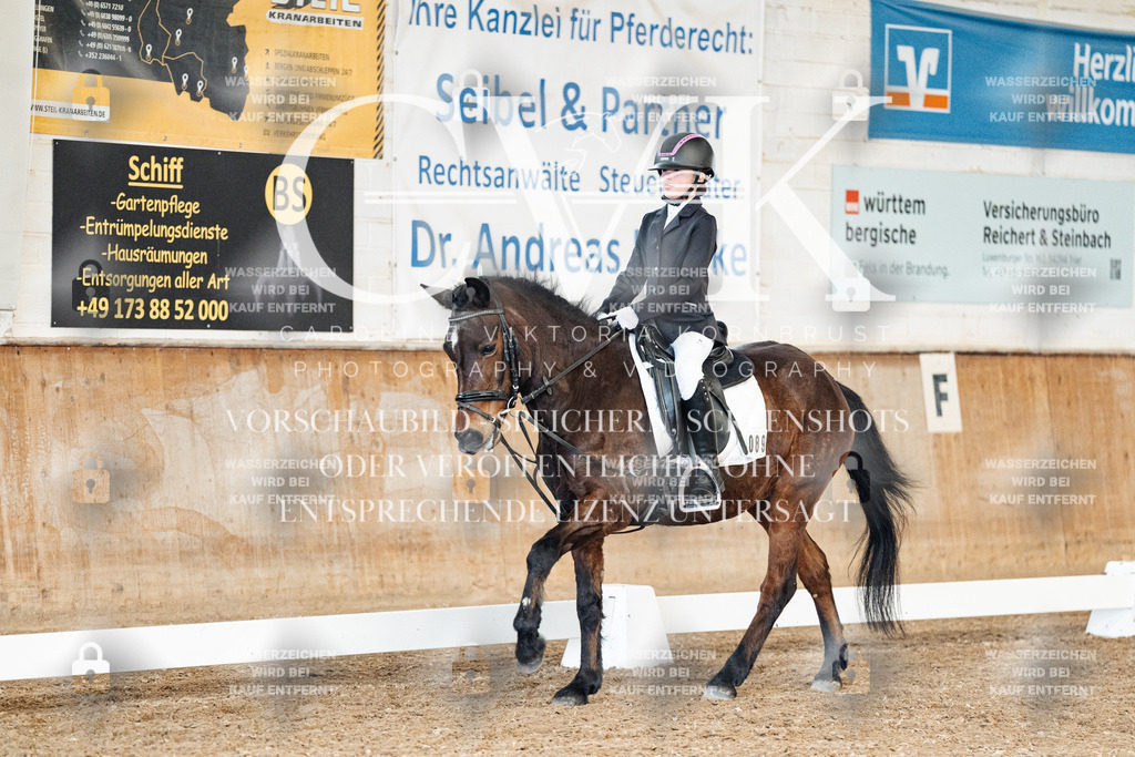 CK900542 | Turnierfotografie Pferdefotografie Trier Rheinland-Pfalz Pferdesport Reitsport Tierfotografie Sportfotografie Pferdevideo Pferdevideografie Equestrianvideography equestrianphotography  - Realisiert mit Pictrs.com