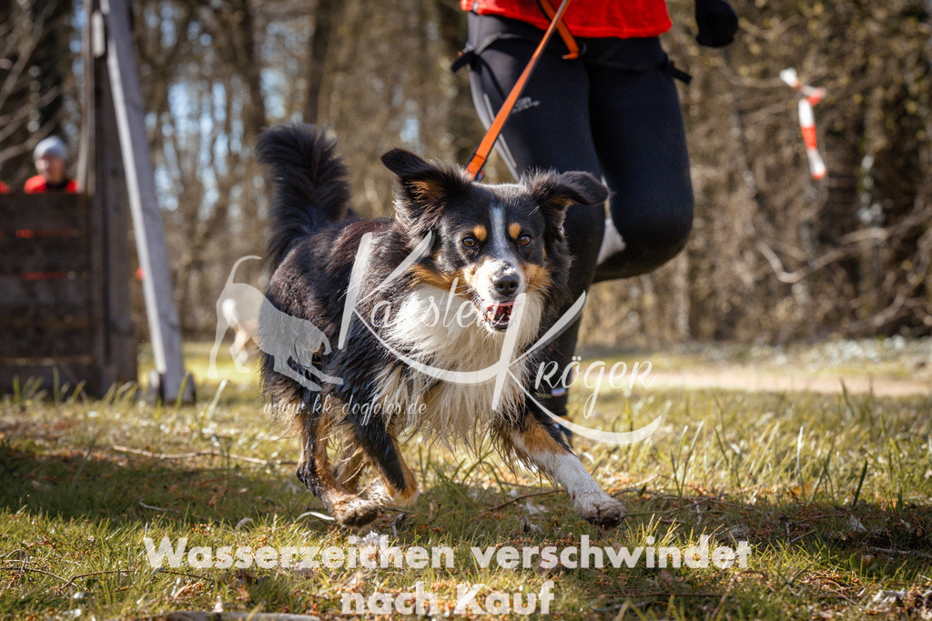 0913_ZZ94297 | kk-dogfotos