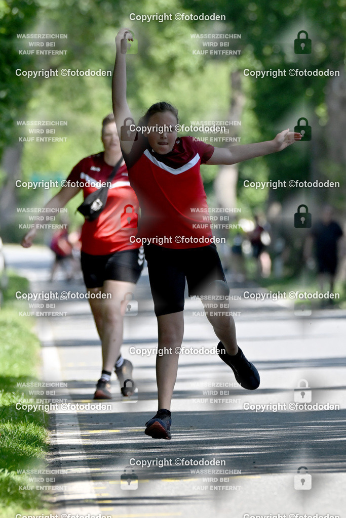 DSC_1219 | Johanna Runge / Schweinebrück / wJD Holz