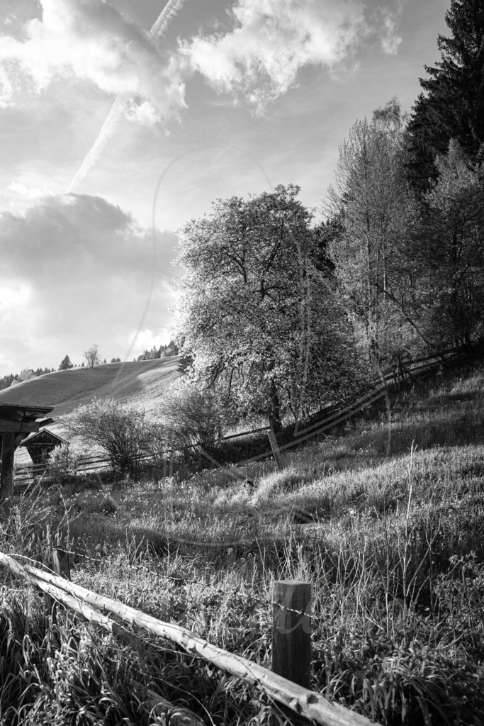 Leitngassn sw | Bei Veröffentlichung des Bildes ist eine Namensnennung wie folgt erforderlich: 
Foto: Mostdirn Irmgard Wieser - Realisiert mit Pictrs.com