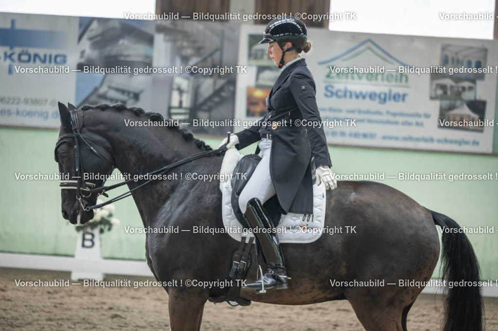 _D5A5400 | Emotionale Pferde- & People-Fotografie rund um Heidelberg, Leimen & Umgebung. Natürliche Fotos von Pferd, Mensch & Familie. Jetzt Termin sichern!