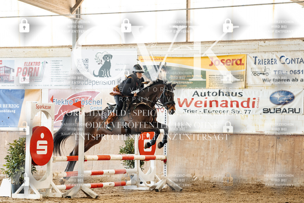 CK905524 | Turnierfotografie Pferdefotografie Trier Rheinland-Pfalz Pferdesport Reitsport Tierfotografie Sportfotografie Pferdevideo Pferdevideografie Equestrianvideography equestrianphotography  - Realized with Pictrs.com