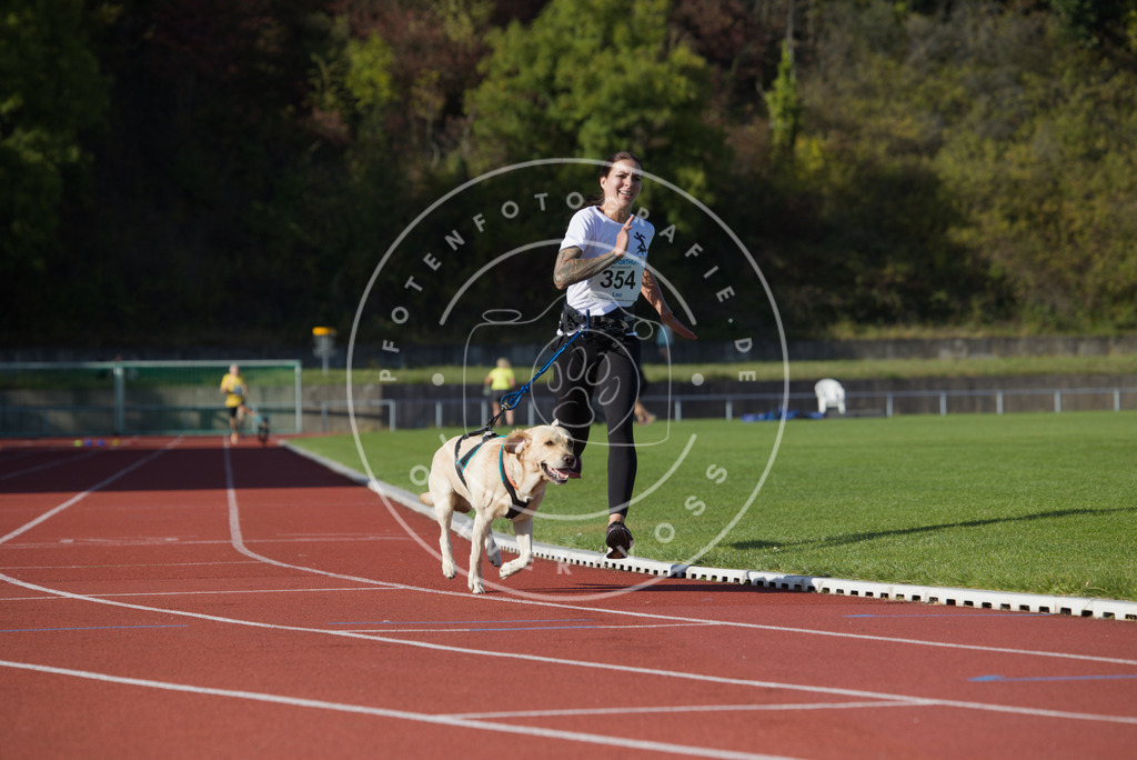 0L8A0049 | Hundefotografie, Tierfotograf, Pfotenfotografie, Fotoshooting Hund, Hunde Portrait, Hundesport, Hundeportraits, Heideshooting, Hunde, Sportfotograf, Hundefotograf, Turnierhundsport, THS,  - Realisiert mit Pictrs.com