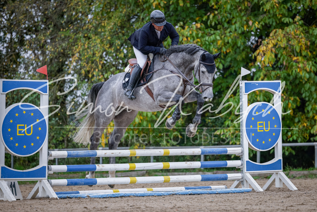 20251012-_3LI3698 | Tierfotografie Pferde, Hunde, Katzen, Haustiere.
Turnierfotografie Reitturniere, Reiten, Springreiten, Dressur in Hanau, dem Main-Kinzig-Kreis und dem Rhein-Main- Gebiet um Frankfurt