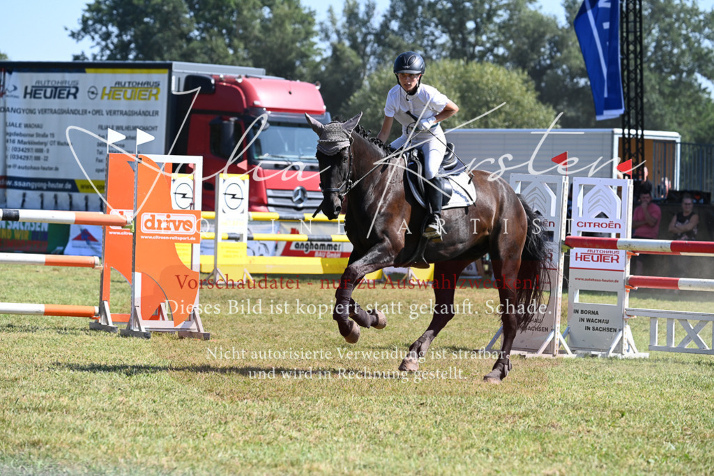 DSC_6386 | Pferde- und Turnierfotografie in Westsachsen. Pferdeportraits, Auftragszeichnungen und intuitive Kunst.