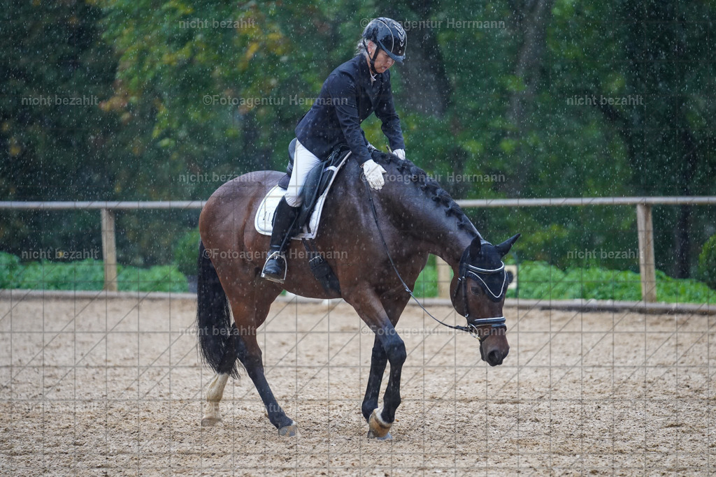 20221008-FAH02098 | Diessen am Ammersee, 2022, Dressur- und Springturnier, Reitsportbilder, Turnierfotografen Bayern, Pferdefotografen, Fotoagentur Herrmann, Turnierbilder