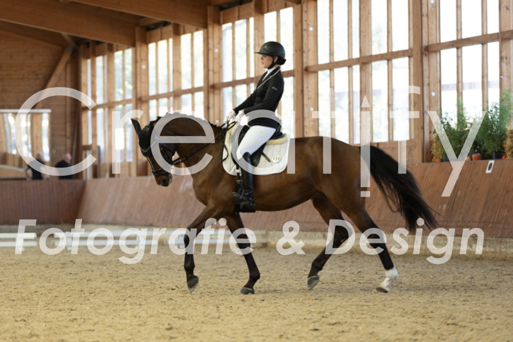 IMG_9424 | Creatify Fotografie