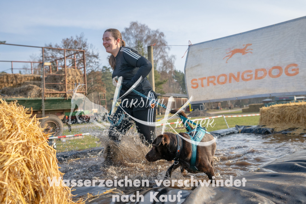 _ZZ90697 | kk-dogfotos