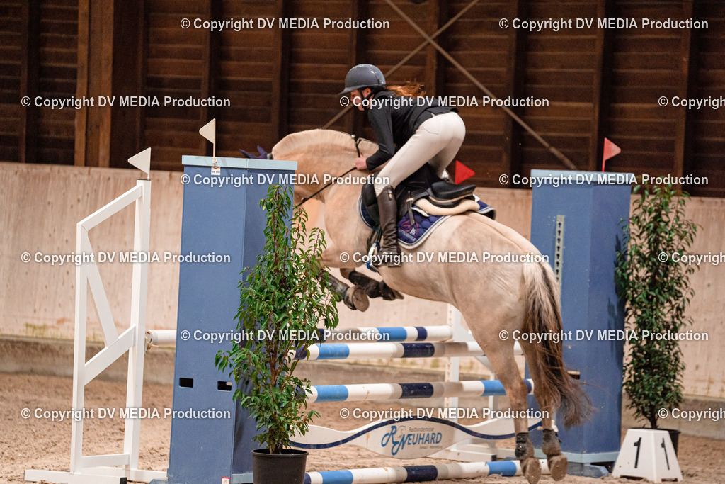 Springen Tag 2-502 | dv-media-shop - Realisiert mit Pictrs.com